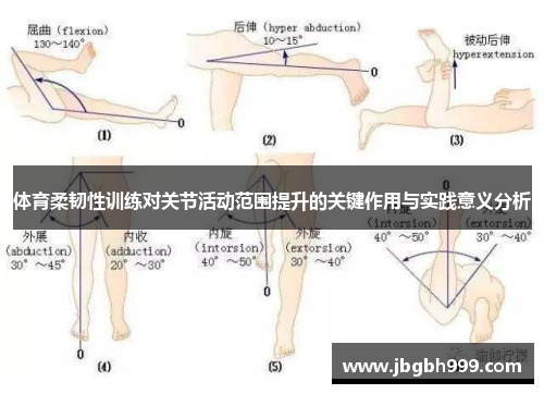 体育柔韧性训练对关节活动范围提升的关键作用与实践意义分析